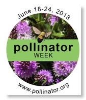 pollinator_logo